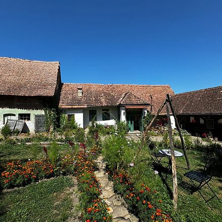 Saschiz 175 Guesthouse Экстерьер фото