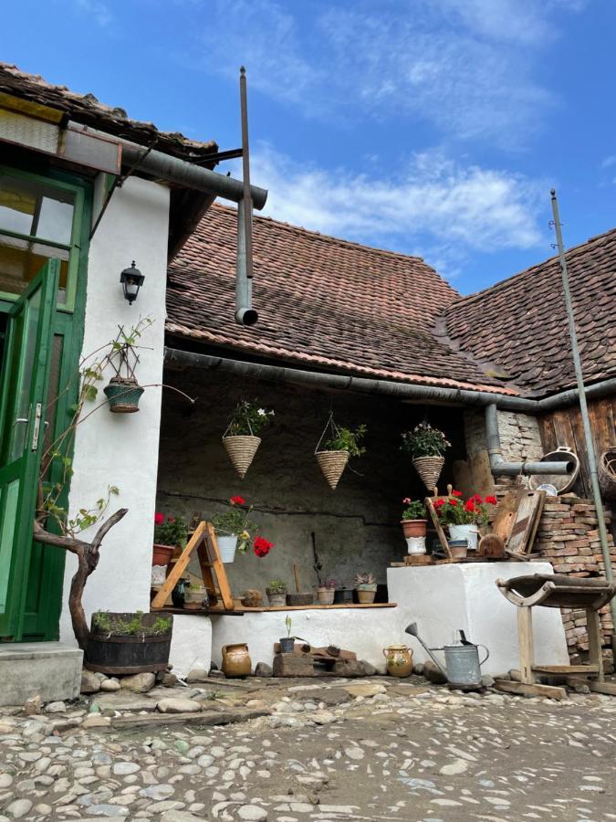 Saschiz 175 Guesthouse Экстерьер фото