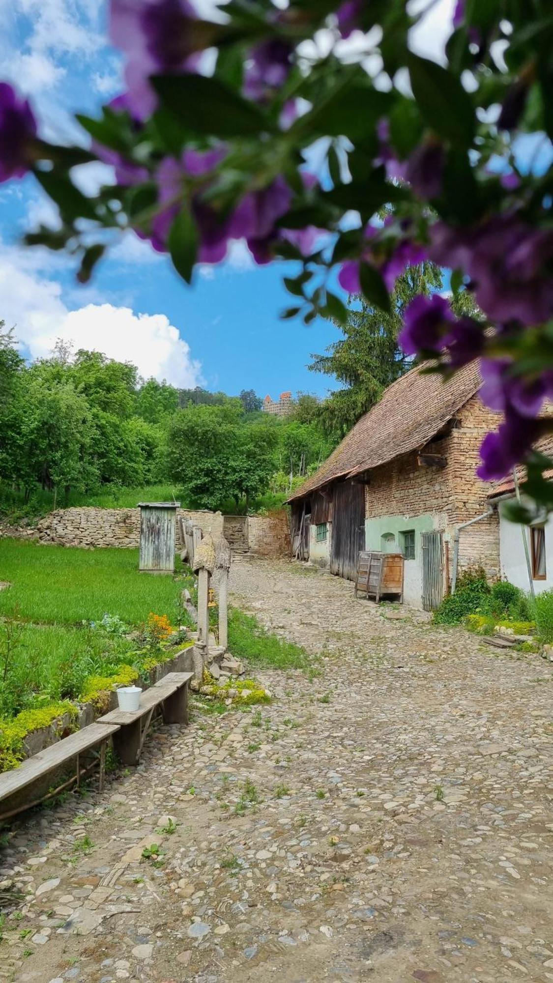 Saschiz 175 Guesthouse Экстерьер фото