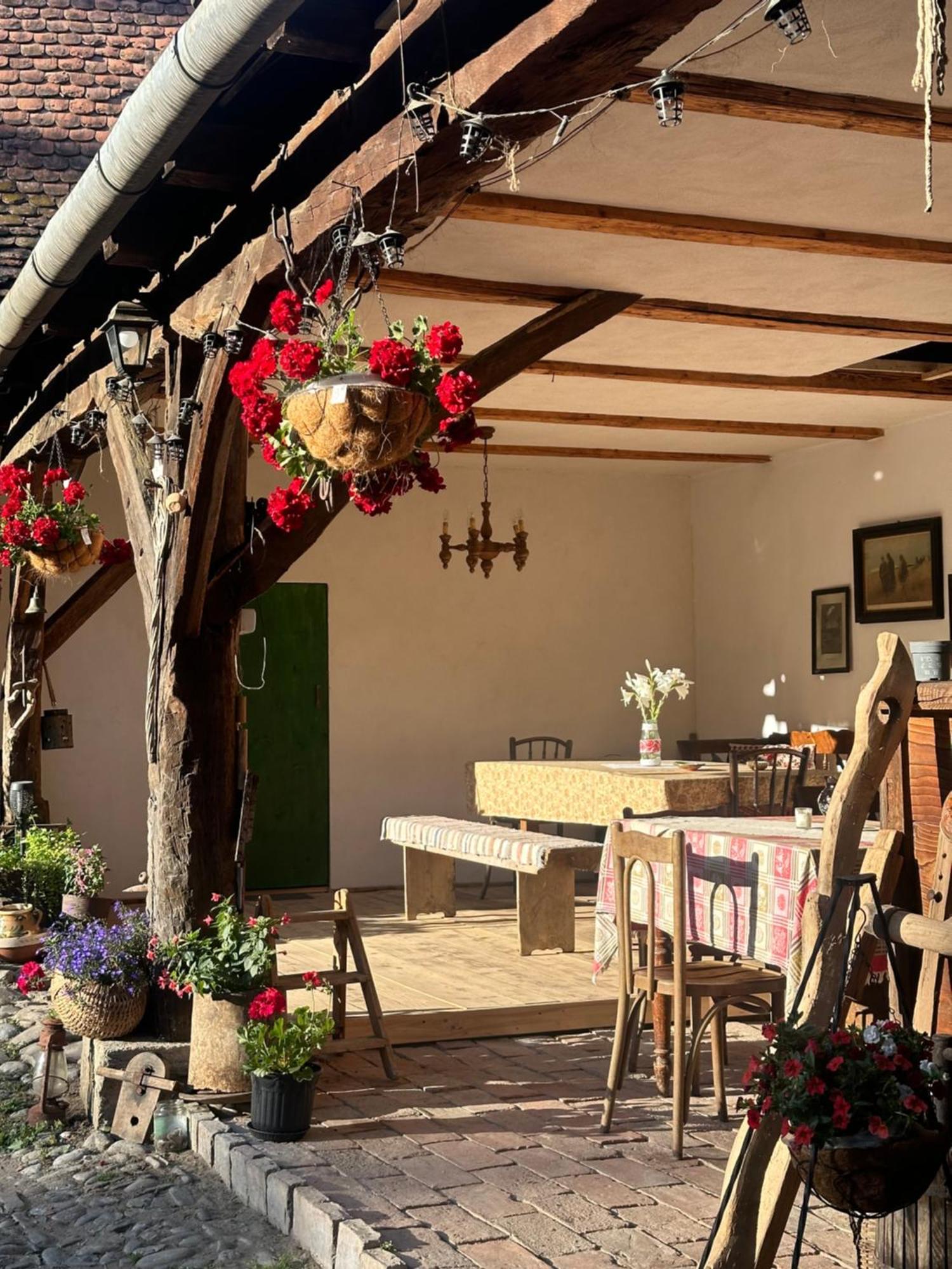Saschiz 175 Guesthouse Экстерьер фото